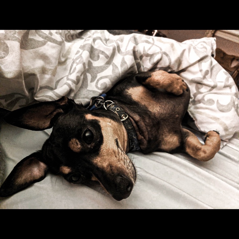 Meet your Posher, Mckenzie